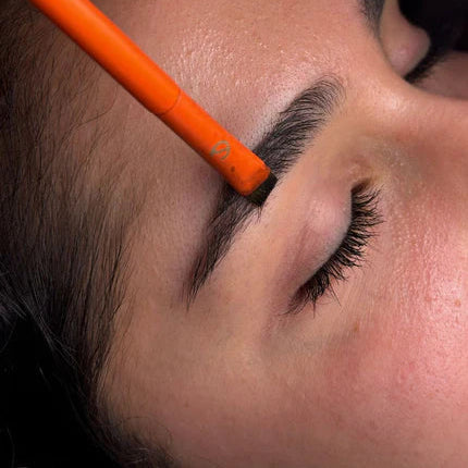 Medium Angled Brow Brush