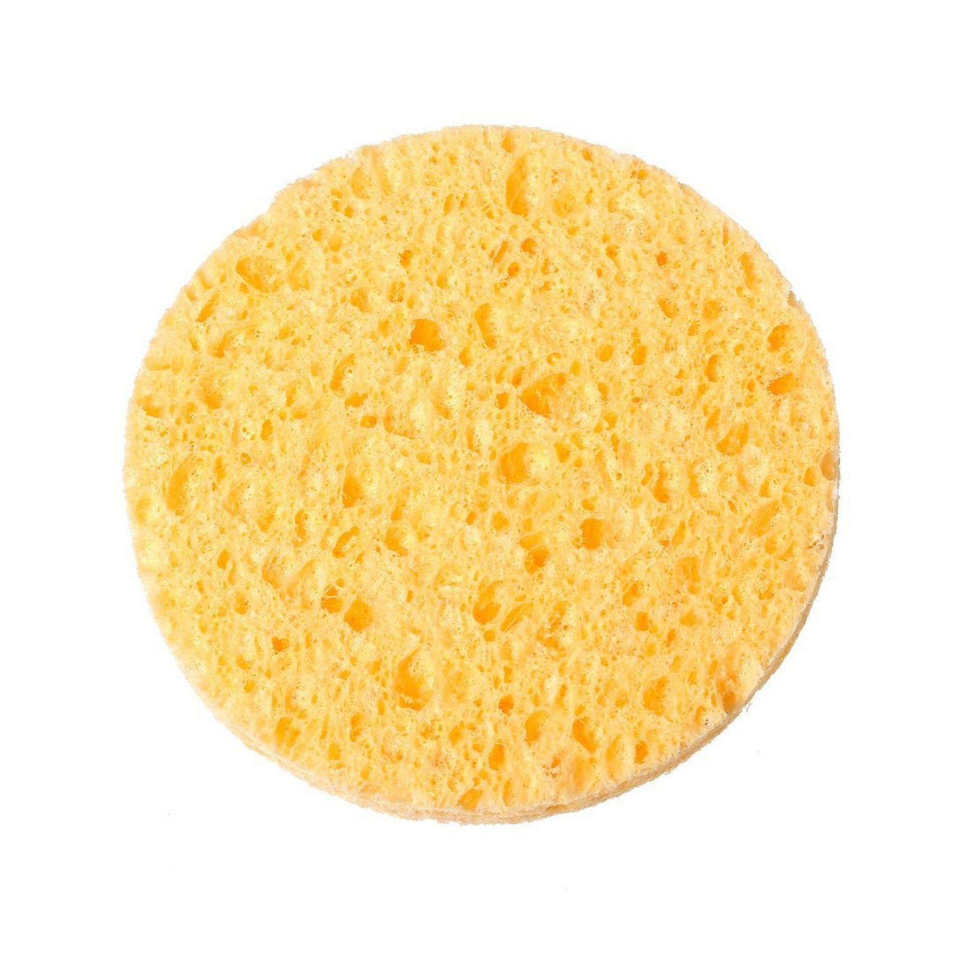 Natural Cellulose Scrub Sponges - 2 count