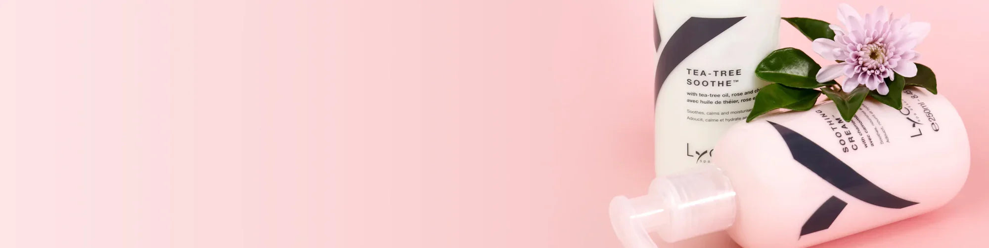 Body Care Products Retail