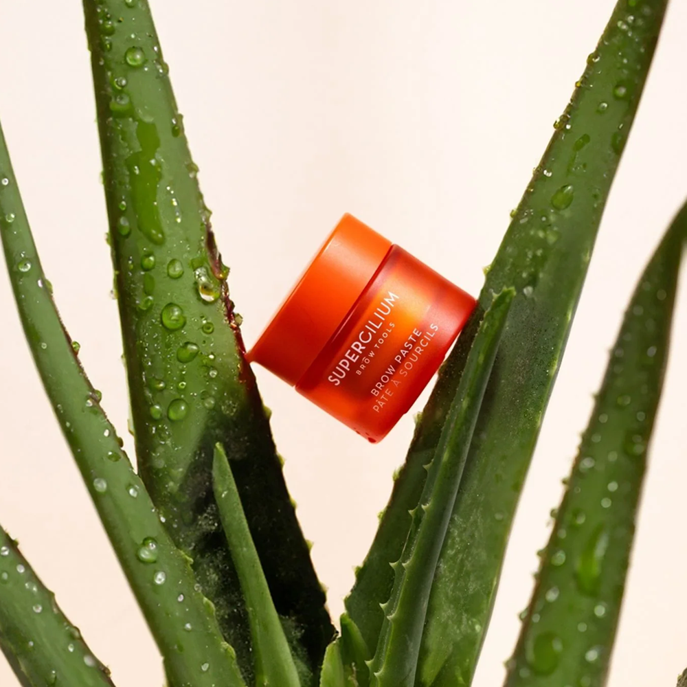 Supercilium Brow Paste
